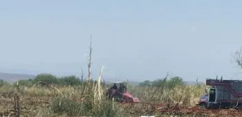 Encuentran un cuerpo calcinado en un campo de caña en Izúcar de Matamoros