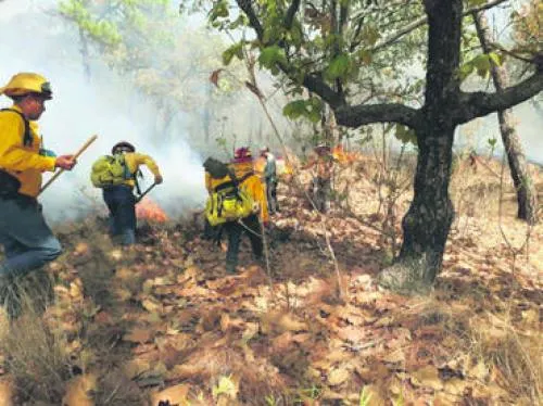 Incendio en La Primavera daña 800 hectáreas