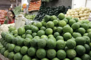 Hasta en 70 pesos se cotiza kilogramo de limón en centro del país
