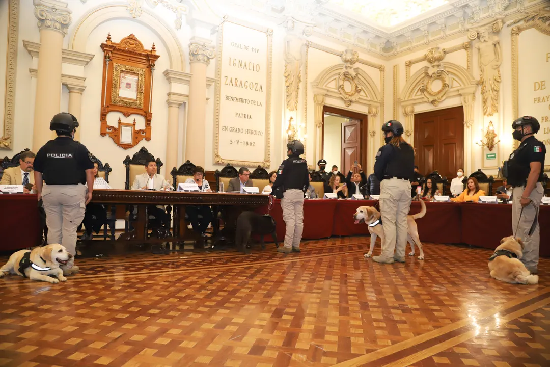 Aprueba Cabildo de Puebla nuevos uniformes y cambio de imagen a SSC