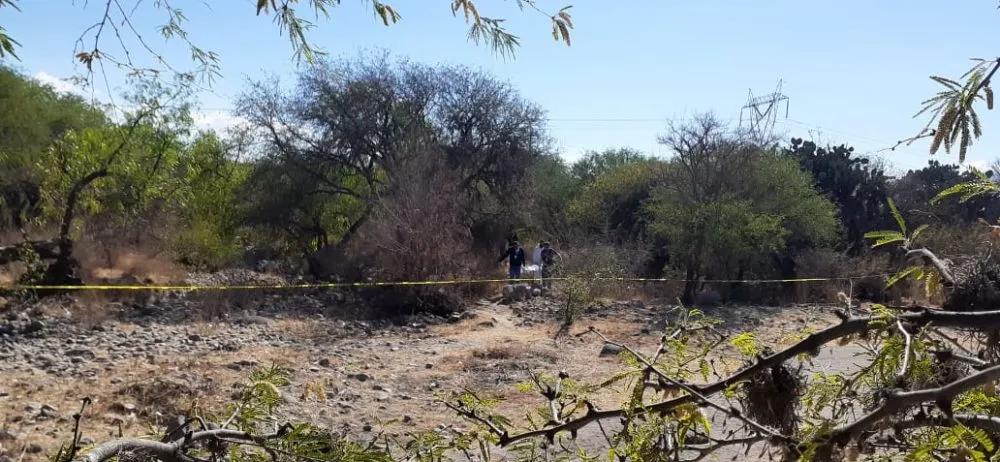Foto : Noticias de Querétaro