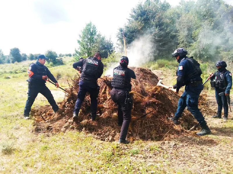 Policía Forestal
