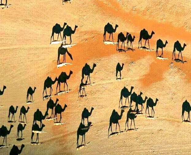 Imagen del artículo