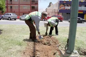 Ayuntamiento de Puebla continúa con Programa de Poda