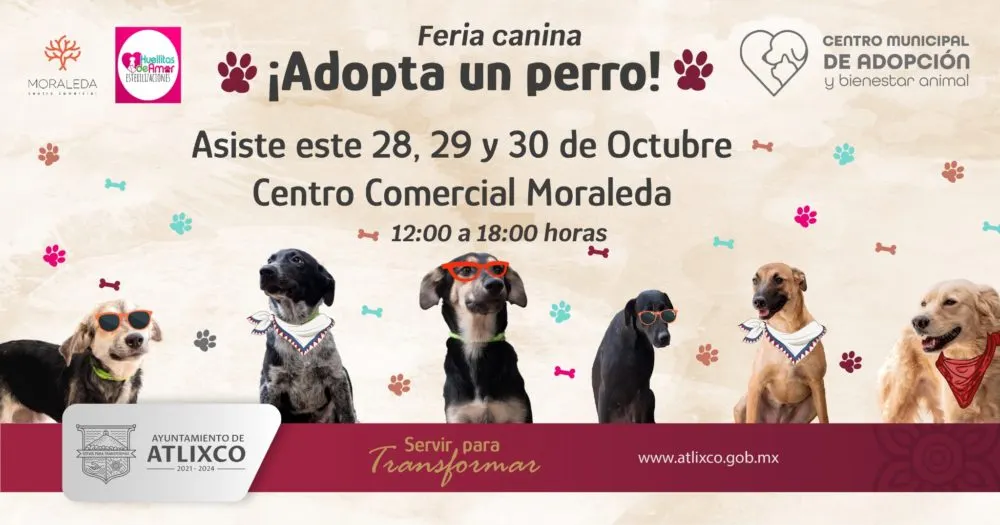 Ayuntamiento de Atlixco e iniciativa privada invitan a la primera edición de la Mini Feria de Adopción Canina