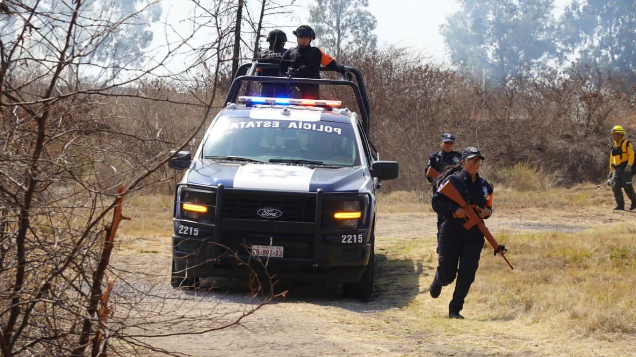 Gob Pue Policia Estatal Forestal