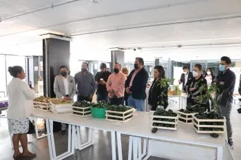 Vinculan SDR y Economía a productores de ingredientes de Chile en Nogada con empresarios