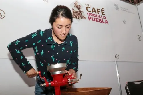 Resalta presidente de Consejo Mexicano de Cafés interés del gobierno por rescatar el campo