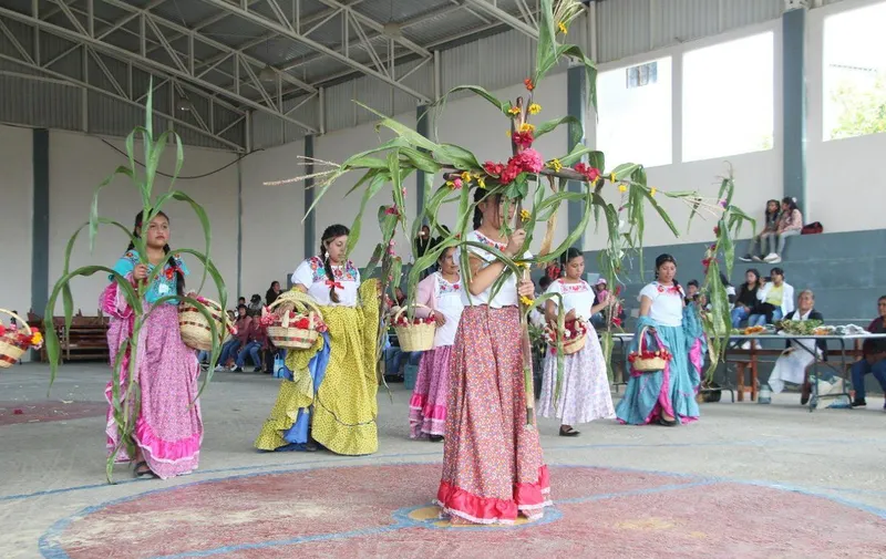zoquitlan-cultura-sistema-milpa