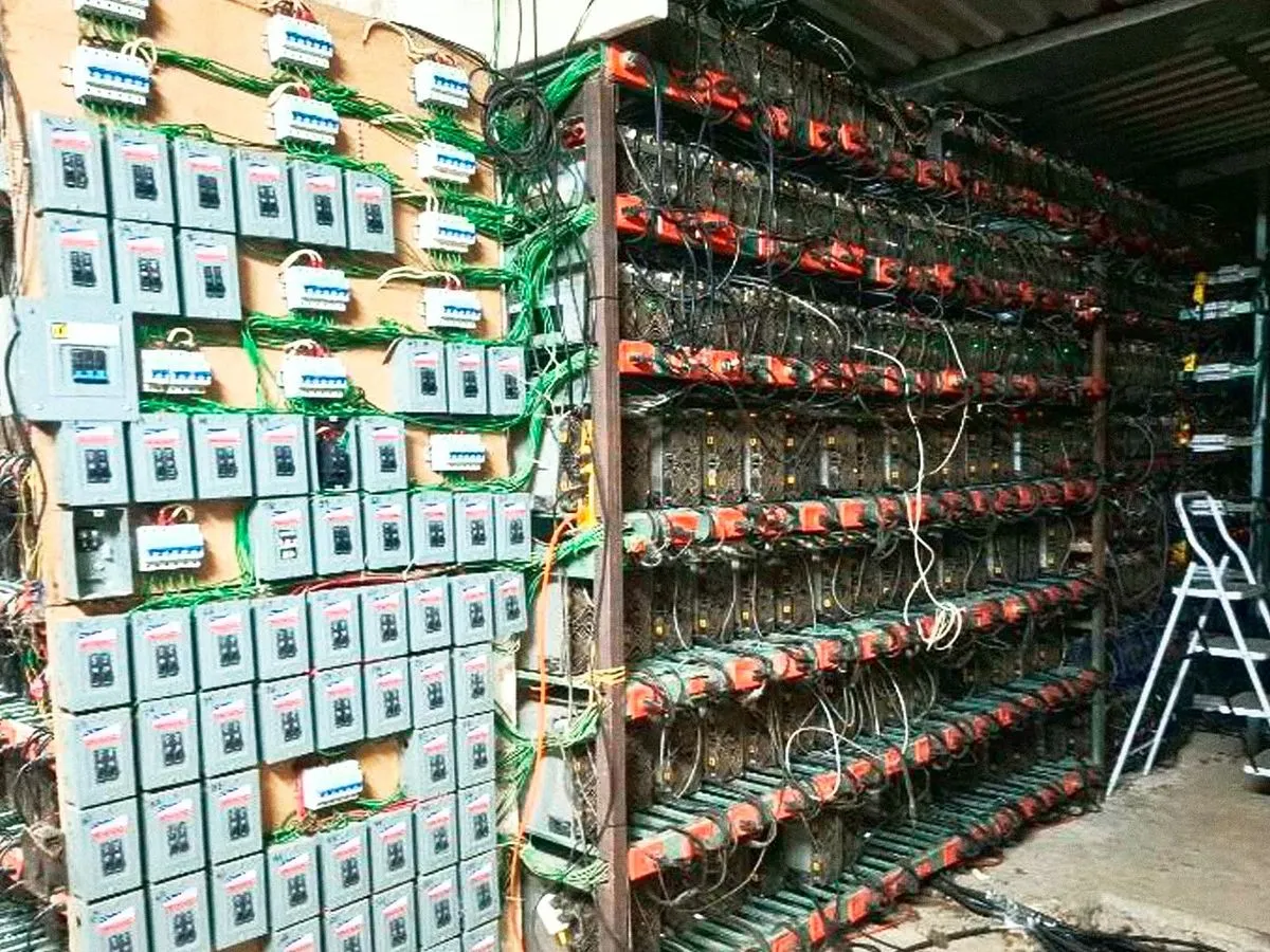 granja-criptomonedas-tlaola