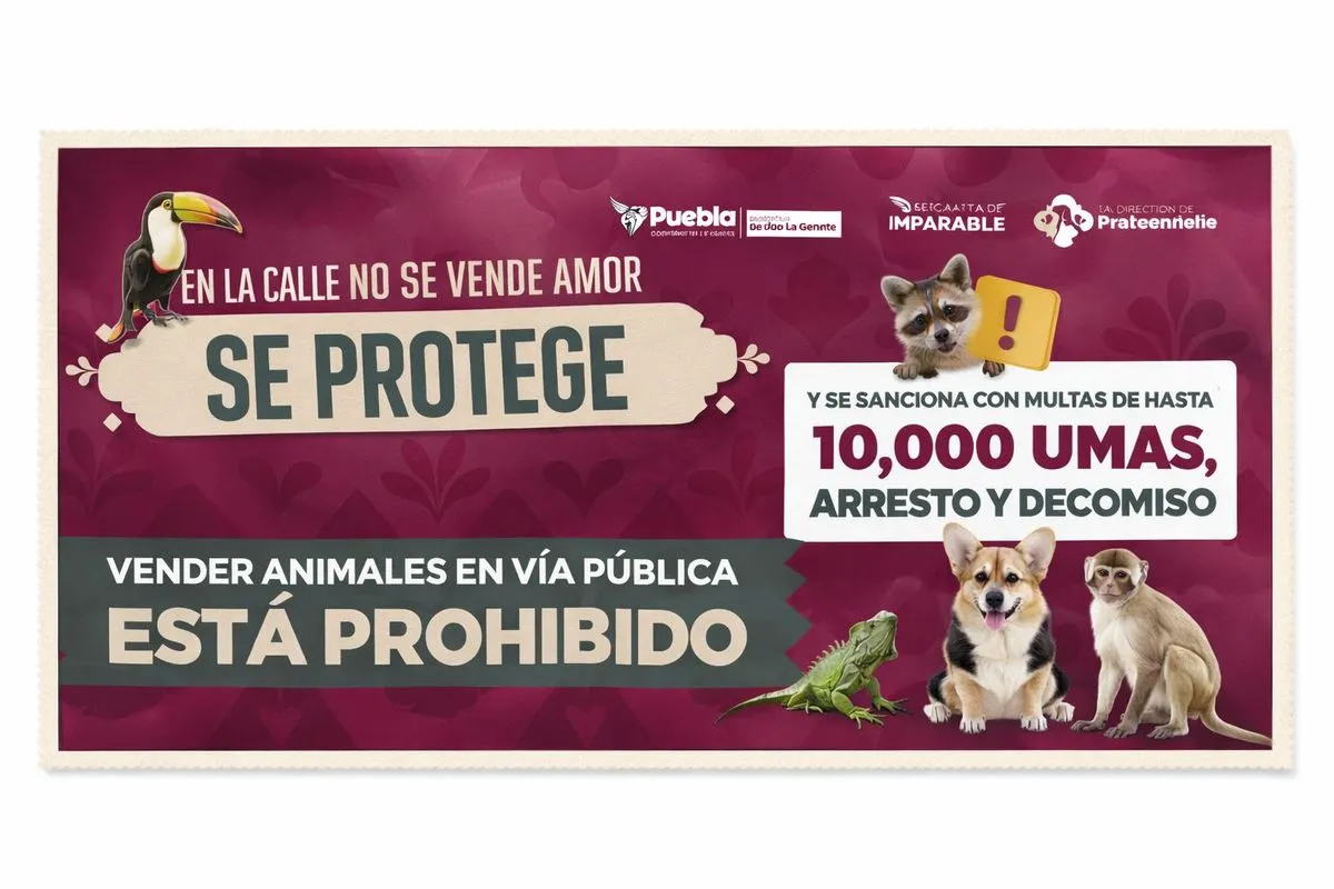 ayto-pue-venta-animales-via-publica