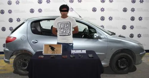 Detiene Seguridad Pública Municipal a persona por robo a repartidor y negocio