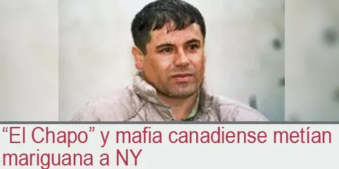 ”El Chapo” y mafia canadiense metían mariguana a NY