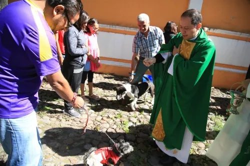 Realizan bendición de mascotas en la comunidad de la parroquia de El Calvario