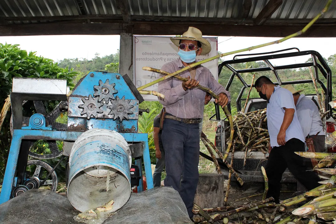 Capacita Secretaría de Desarrollo Rural a productores cañeros para fabricación de piloncillo