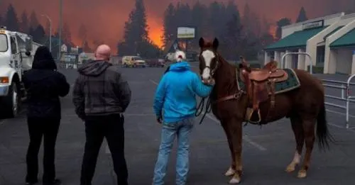 California ordena acelerar ayuda a quienes perdieron todo por incendios