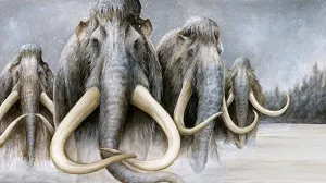 Inevitable clonación del mamut lanudo