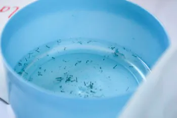 Reporta Salud tres nuevas hospitalizaciones por dengue en Puebla
