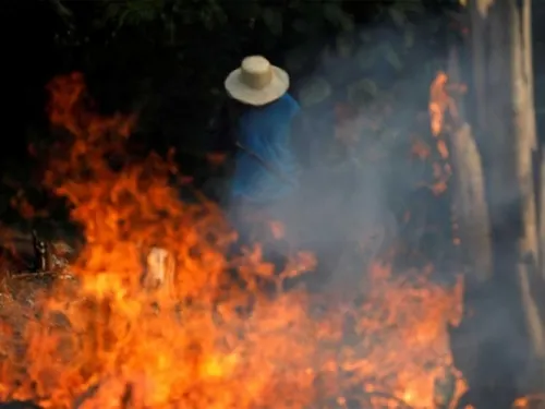 Brasil impone multas millonarias por deforestación del Amazonas