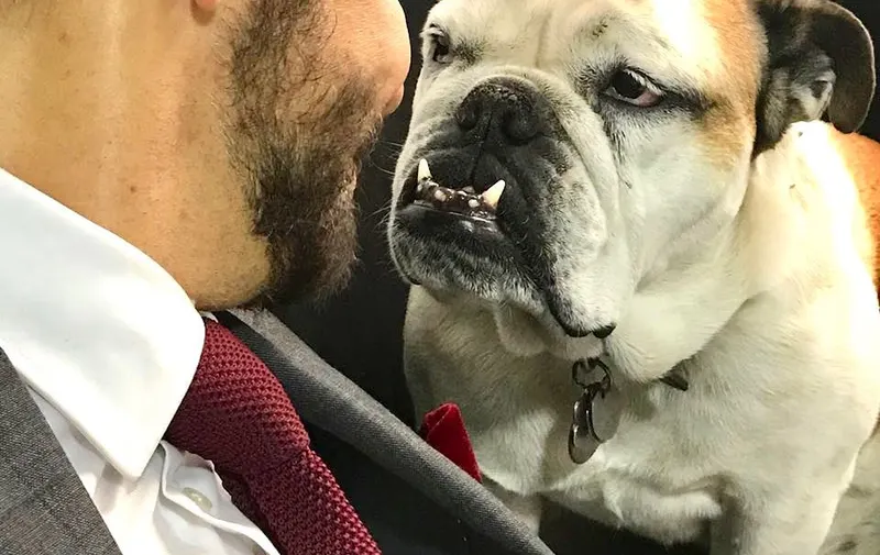 Eugenio Derbez se despide de su amada mascota