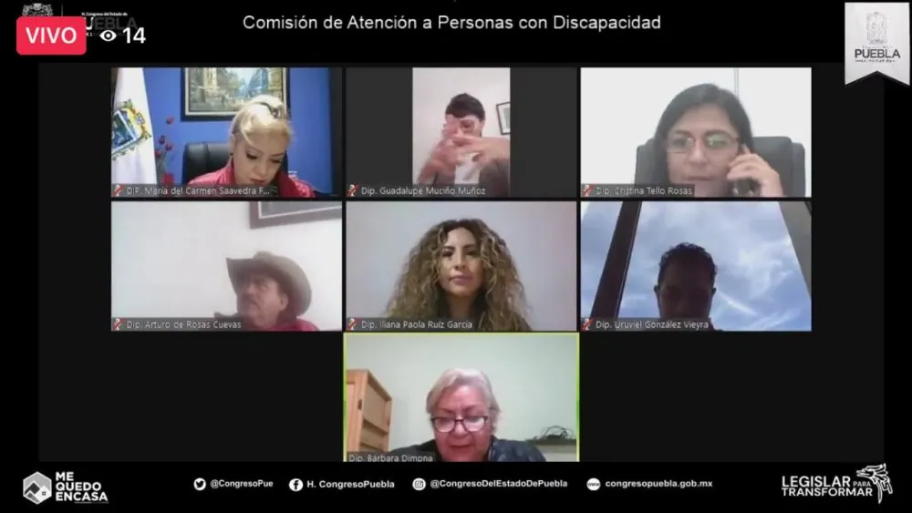 En Comisión del Congreso aprueban reformas a la Ley para las Personas con Discapacidad, en materia de inclusión