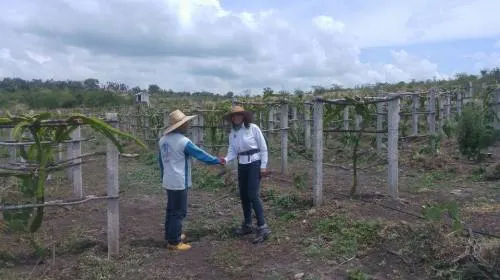 Me apostaré a legislar para beneficiar el campo poblano: Geraldine González