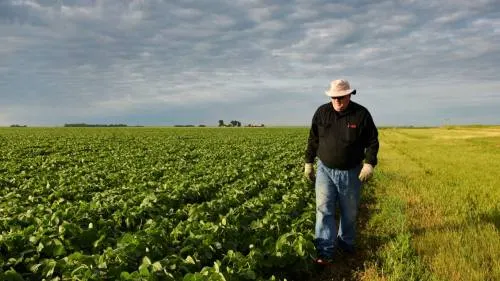 EU anuncia plan de apoyo para agricultores afectados por aranceles