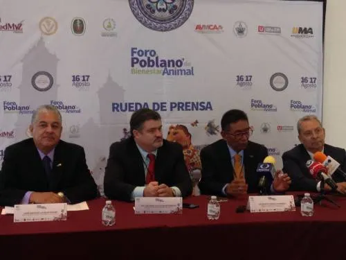 No existe responsabilidad por parte de los ciudadanos para la tenencia de mascotas
