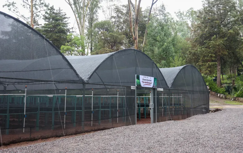 Gobierno de Puebla inaugura vivero forestal de vanguardia con 5 millones de pesos