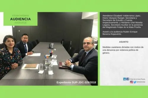 Tráfico de influencias en la resolución del recurso de violencia de género del PAN