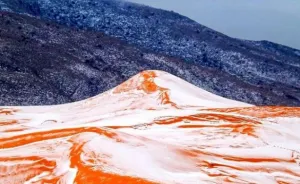Desierto del Sahara se pinta de blanco por ¡caída de nieve!