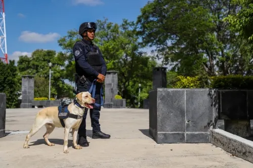 En Puebla, más de 570 detenidos por delitos contra la salud: SSC