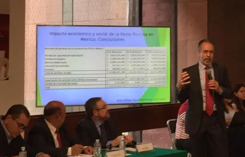 Peste Porcina Africana provocaría a México pérdidas por más de 128 mmdp: VMO