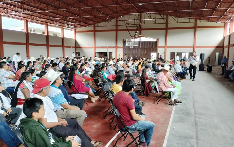 Imagen del artículo