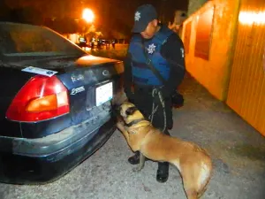 Realiza Cuautlancingo Operativo Alcoholímetro con Unidad K9