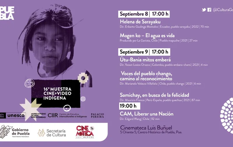 Cine+video indígena