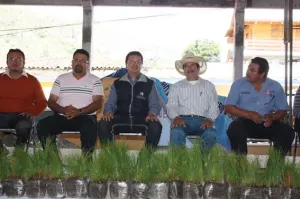 Entregó Sdrsot 40 mil plantas de Pino para reforestar áreas degradadas