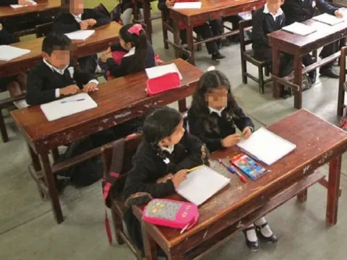 Podrá darse clases a los niños como servicio social