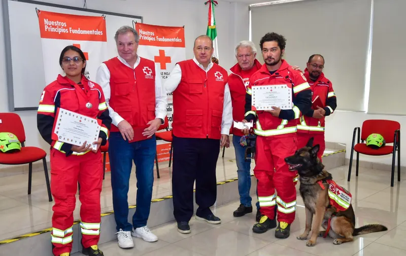 Perritos cruz roja