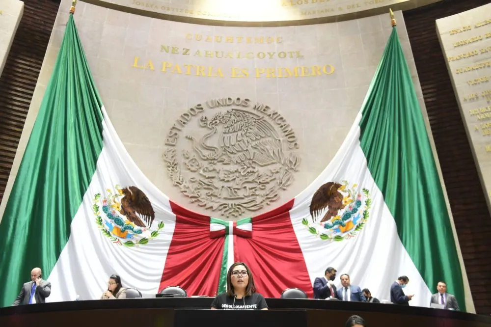 No se debe discriminar a personas mayores por su edad para ocupar un trabajo: Genoveva Huerta