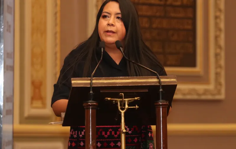 Ana Laura Altamirano Pérez