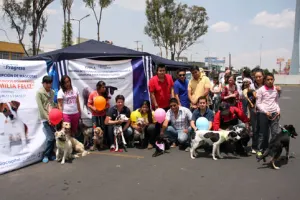Exitosa jornada de adopción canina del ayuntamiento “Dame una Oportunidad”