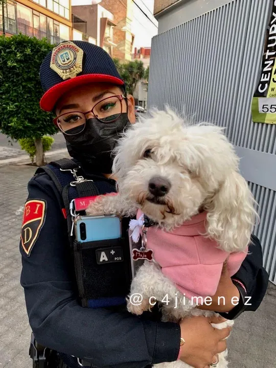 Héroes policías rescatan a perrito perdido en CDMX