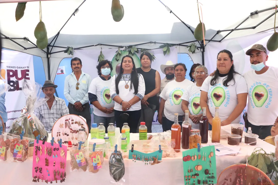 Impulsará SDR a productores agroindustriales de aguacate