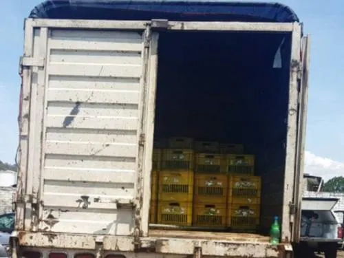 Roban 3.5 toneladas de aguacate en Michoacán