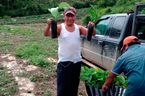 Habitantes de 12 municipios obtuvieron beneficios