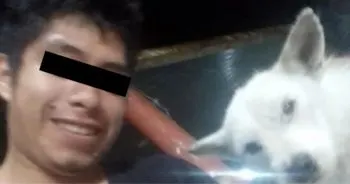 Denuncian a sujeto que exhibió en redes sociales cómo asesinó a un perrito en Xicotepec