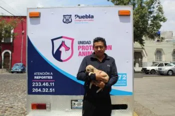 Medio Ambiente exhorta a evitar la compra-venta de mascotas con motivo del Día de Reyes