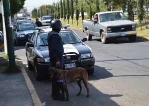 K9 ha localizado drogas en paquetería