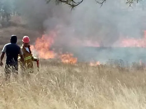 Sofoca Guardia Forestal 2 incendios en Cerro Zapotecas